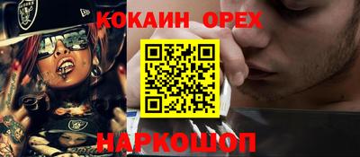 шишки Можга