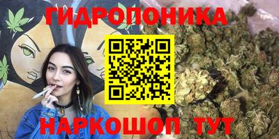 шишки Можга