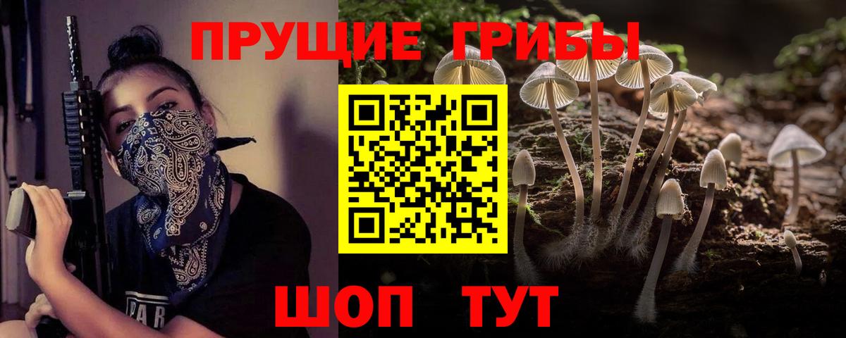 Галлюциногенные грибы Psilocybe  Вход с VPN  Великий Устюг 